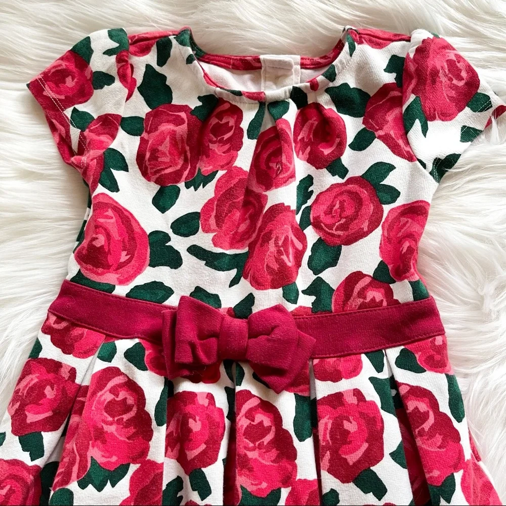 Gymboree Red Roses Dress